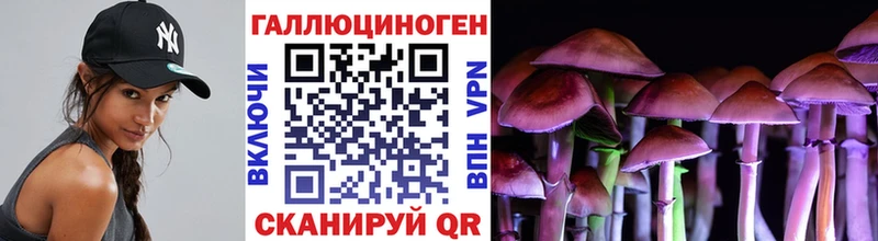 Псилоцибиновые грибы мухоморы  Углич 
